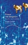 PENSAR CON IMAGENES ( MI VIDA CON EL AUTISMO ) | 9788484283065 | GRANDIN, TEMPLE