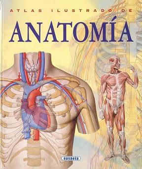 ATLAS ILUSTRADO DE ANATOMIA | 9788430534784 | RIGUTTI, ADRIANA; ORTIZ, ISABEL