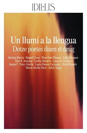LLUMÍ A LA LLENGUA | 9791399079012 | BÀRCIA, ADRIANA / CASAS, RAQUEL / FONT MASSOT, ROSA / G. ORTENSI, LAURA / GÀZQUEZ, LÍDIA / NAVARRO,