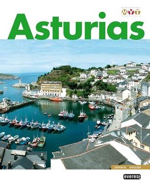 ASTURIAS MONUMENTAL Y TURISTICA | 9788424102883 | VARIS
