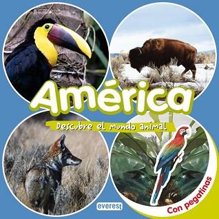 AMERICA DESCUBRE EL MUNDO ANIMAL | 9788424116613 | EVEREST