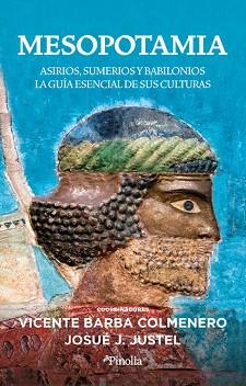 MESOPOTAMIA | 9788418965784 | VICENTE BARBA COLMENERO