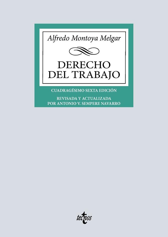DERECHO DEL TRABAJO | 9788430992621 | MONTOYA MELGAR, ALFREDO