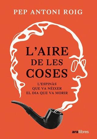 AIRE DE LES COSES | 9788411730440 | ANTONI ROIG, PEP