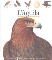 AGUILA, L' (MON MERAVELLOS) | 9788476298220 | BOUR, LAURA