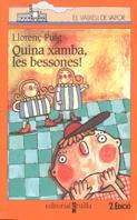 QUINA XAMBA LES BESSONES (VVT) | 9788482865669 | PUIG, LLORENÇ