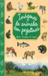 IMAGENES DE ANIMALES CON PEGATINAS 3 | 9788427260337 | VARIS