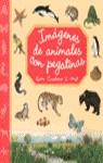IMAGENES DE ANIMALES CON PEGATINAS 2 | 9788427260320 | VARIS