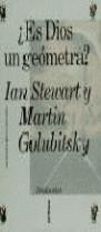 ES DIOS UN GEOMETRA? | 9788474236835 | STEWART, IAN ; GOLUBITSKY, MARTIN