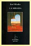 MIRADA, LA | 9788489972469 | MENDEZ, JOSE