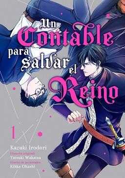 CONTABLE PARA SALVAR EL REINO, VOL. 1 | 9788418739286 | IRODORI, KAZUKI / WAKATSU, YATSUKI