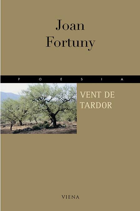 VENT DE TARDOR | 9788483301609 | FORTUNY. JOAN