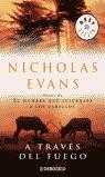 A TRAVES DEL FUEGO (BUTXACA) | 9788497598965 | EVANS. NICHOLAS