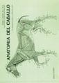 ANATOMIA DEL CABALLO | 9788420004273 | GOODY, PETER G.