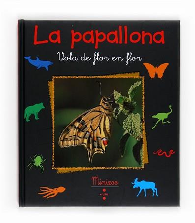 PAPALLONA LA | 9788466125109 | TRACQUI, VALÉRIE