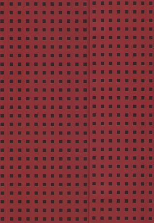 LLIBRETA PAPER ON B5 LINED | 9781439790564