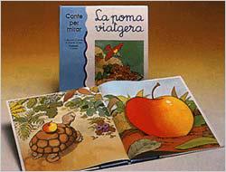 POMA VIATGERA, LA CONTE PER MIRAR | 9788431628970 | BERNAUS, C.