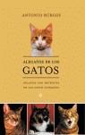 ALEGATO DE LOS GATOS | 9788497342292 | BURGOS ANTONIO