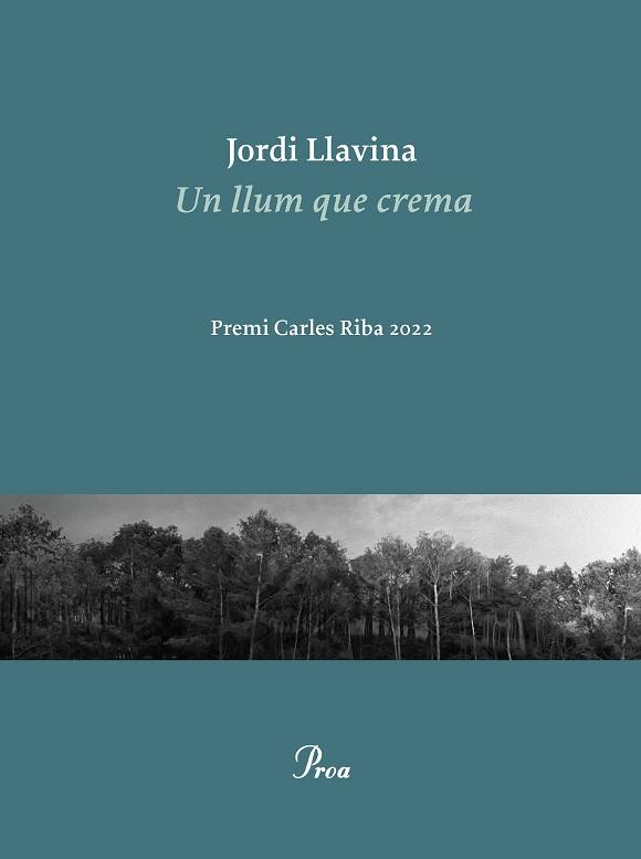 LLUM QUE CREMA UN | 9788475889979 | LLAVINA, JORDI