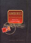 AMBERES ( LA CIUDAD DEL ESCALDA ) | 9788496639249 | TUR, ANTONI / GOMEZ, CARMEN