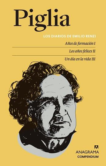 DIARIOS DE EMILIO RENZI | 9788433932044 | PIGLIA, RICARDO