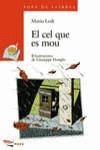 CEL QUE ES MOU, EL (SOPA DE LLIBRES) | 9788448906535 | LODI, MARIO