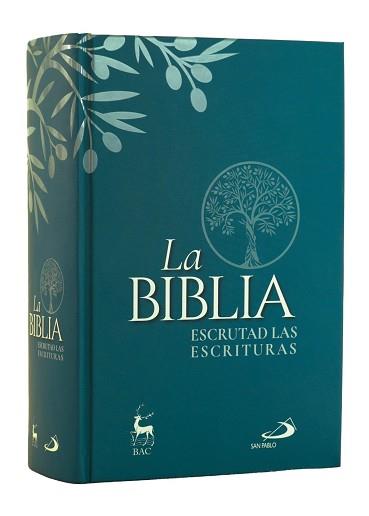 BIBLIA. ESCRUTAD LAS ESCRITURAS | 9788428573276 | FICCO, FABRIZIO / FRAILE YÉCORA, PEDRO IGNACIO / , EZECHIELE PASOTTI / PEREGO, GIACOMO / , FRANCESCO