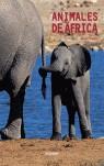 ANIMALES DE AFRICA | 9788424185053 | BURZIO, MAURO