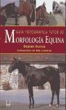 MORFOLOGIA QUINA GUIA FOTOGRAFICA TUTOR | 9788479024123 | OLIVER, ROBERT