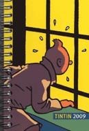 AGENDA TINTIN DE BOLSILLO 2009 | 9788484183808 | VARIOS
