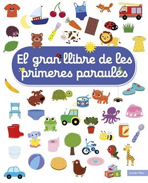 GRAN LLIBRE DE LES PRIMERES PARAULES | 9788491377900 | CHOUX, NATHALIE