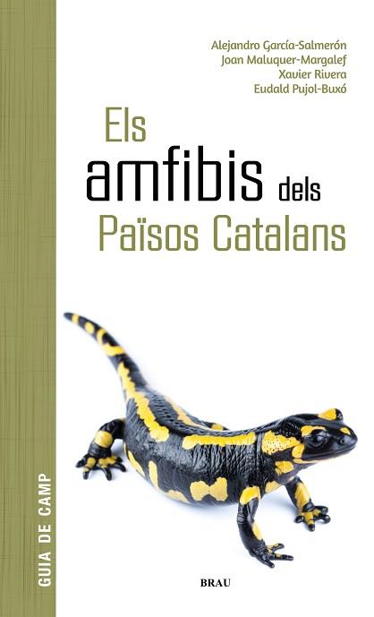 AMFIBIS DELS PAÏSOS CATALANS | 9788418096341 | GARCÍA SALMERÓN, ALEJANDRO / MALUQUER MARGALEF, JOAN / RIVERA MULA, XAVIER / PUJOL BUXÓ, EUDALD