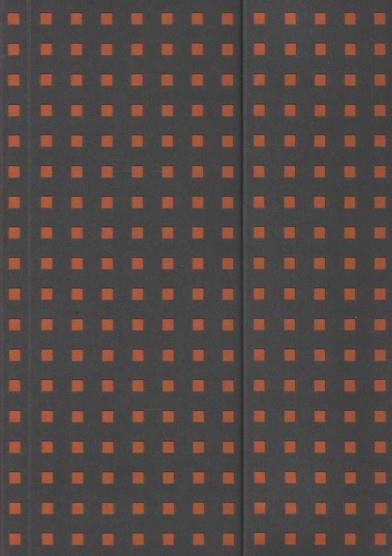 LLIBRETA PAPER OH B6 UNLINED | 9781439790694