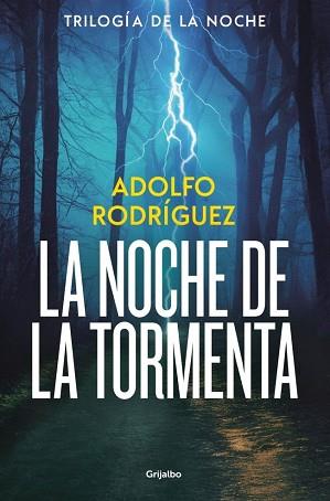 NOCHE DE LA TORMENTA (TRILOGÍA DE LA NOCHE 3) | 9788425374227 | RODRÍGUEZ, ADOLFO