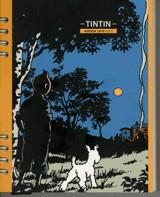 AGENDA TINTIN 2010 | 9788484184058 | AAVV