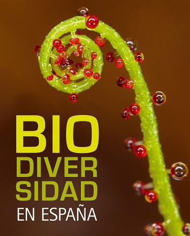 BIO DIVERSIDAD EN ESPAÑA | 9788497856317 | AA. VV.