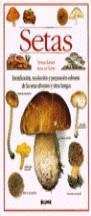 SETAS | 9788480762588 | CONTE, ANNA DEL