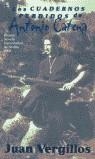 CUADERNOS PERDIDOS DE ANTONIO CATENA (BUTXACA) | 9788466301695 | VERGILLOS, JUAN