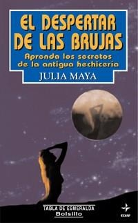 DESPERTAR DE LAS BRUJAS, EL (BUTXACA) | 9788441409231 | MAYA, JULIA