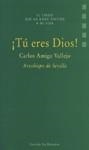TU ERES DIOS | 9788433016447 | AMIGO VALLEJO, CARLOS
