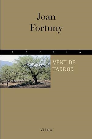 VENT DE TARDOR | 9788483301609 | FORTUNY. JOAN