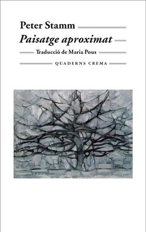 PAISATGE APROXIMAT BM-139 | 9788477274056 | STAMM, PETER