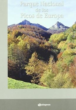 PARQUE NACIONAL DE LOS PICOS DE EUROPA | 9788493209582 | VARIS