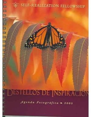 AGENDA FOTOGRAFICA 2005 DESTELLOS DE INSPIRACION | 9780876124826