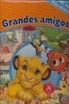GRANDES AMIGOS ( BUSCA Y ENCUENTRA ) | 9781412737555 | DISNEY