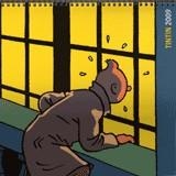CALENDARIO TINTIN 2009 | 9788484183792 | VARIOS
