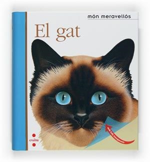GAT EL | 9788466121736 | GALLIMARD JEUNESSE, ÉDITIONS