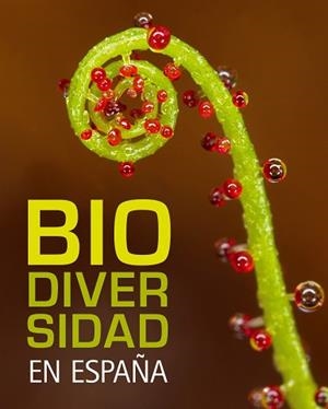 BIO DIVERSIDAD EN ESPAÑA | 9788497856317 | AA. VV.