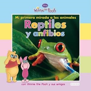REPTILES Y ANFIBIOS MI PRIMERA MIRADA A LOS ANIMALES | 9788444164328 | DISNEY