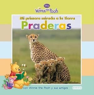 PRADERAS MI PRIMERA MIRADA A LA TIERRA WINNIE THE POOH | 9788444164250 | DISNEY